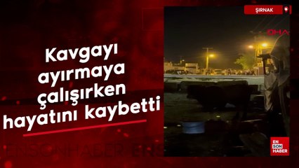 Şırnak'ta iki aile arasındaki kavgayı ayırmaya çalışırken hayatını kaybetti