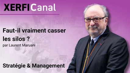Faut-il vraiment casser les silos ? [Laurent Maruani]