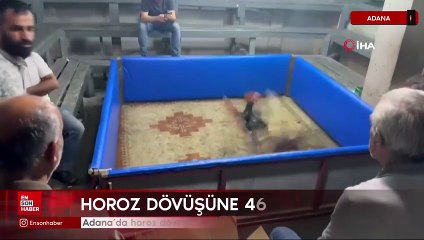 Adana’da horoz dövüşüne polis baskını