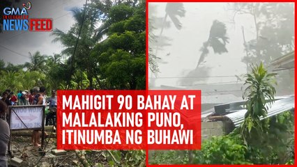 Mahigit 90 bahay at malalaking puno, itinumba ng buhawi | GMA Integrated Newsfeed