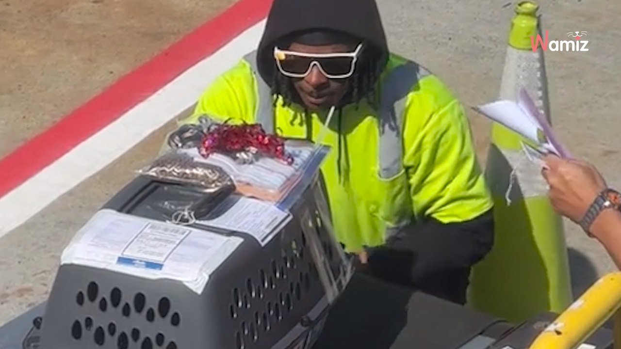 Flughafenmitarbeiter halten Transportbehälter an: Ein Passagier fesselt die Aufmerksamkeit von Millionen Menschen (Video)