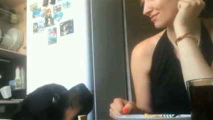 Vidéo hilarante : un rottweiler affamé tente de voler le déjeuner de sa maîtresse distraite