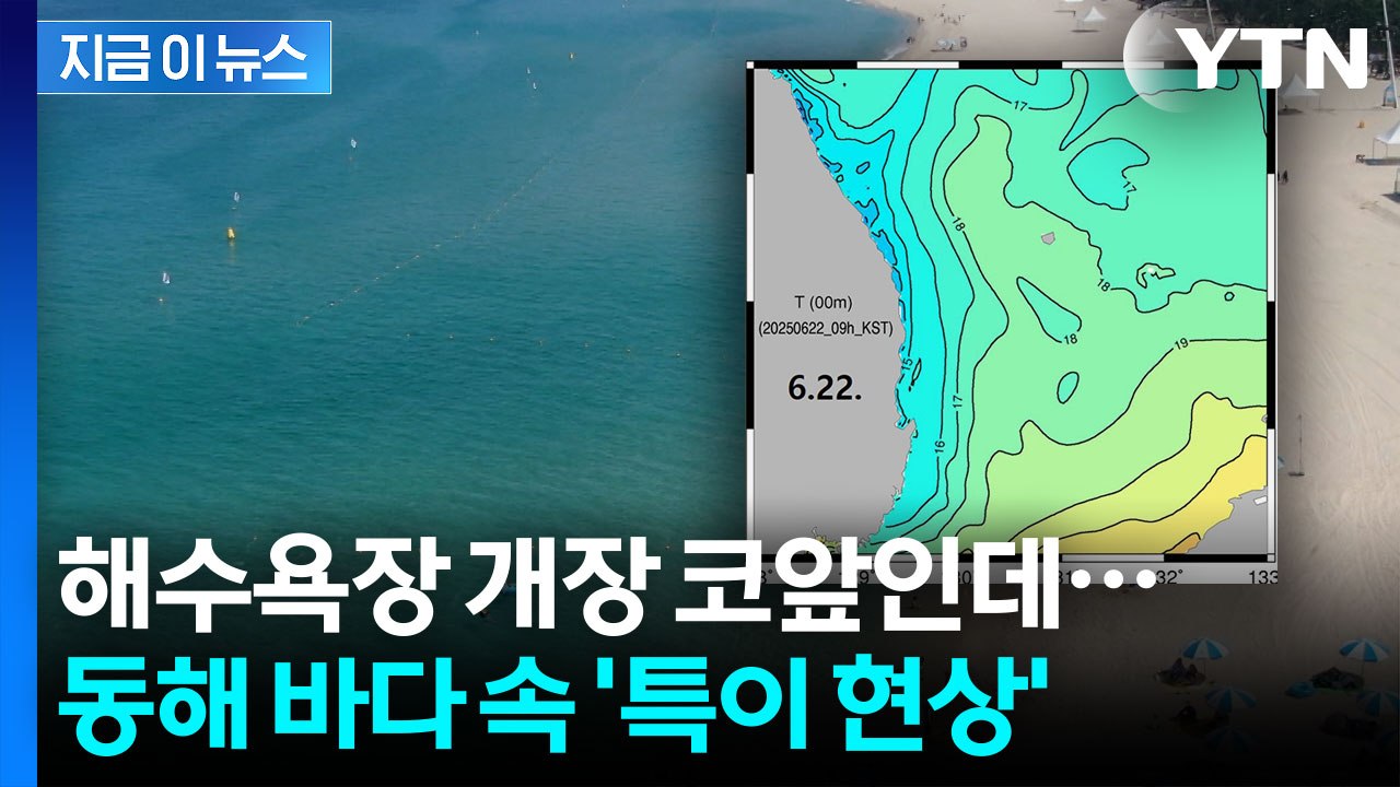 해수욕장 개장 코앞인데...동해 '이 현상'에 상인들 또 불안 [지금이뉴스] / YTN
