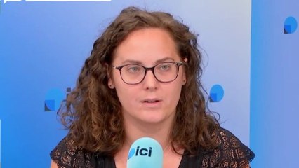 Chikungunya en Alsace : "c'est une possibilité", prédit une responsable de la lutte contre le moustique tigre