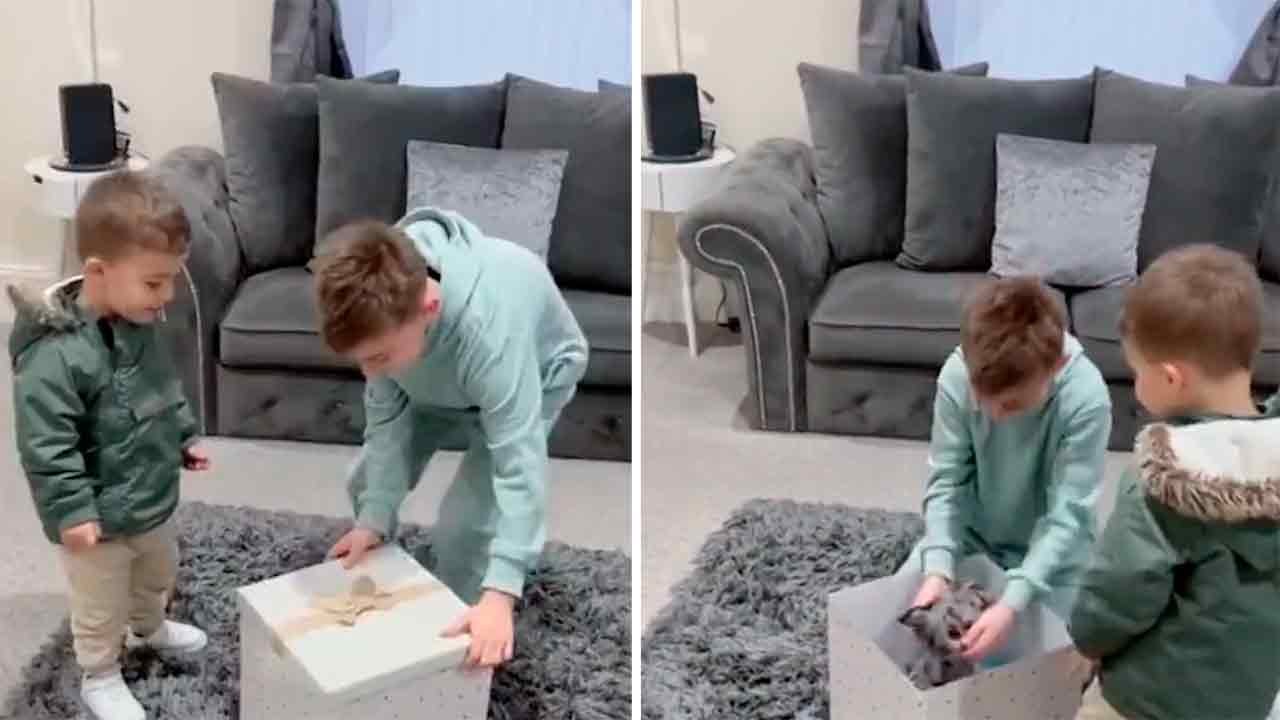Rührendes Video: Junge wird zutiefst emotional, als er einen kleinen Hund geschenkt bekommt