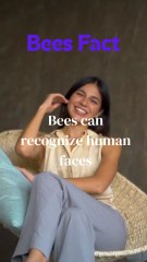 Bees Funny Facts 😅😅