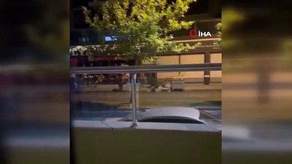 Elazığ’da bir kadın çiçekçi dükkanını taşladı! O anlar kamerada