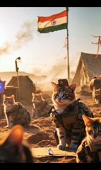 India Pakistan War Ends | America Brings Peace 🇵🇰🇮🇳🇺🇸”