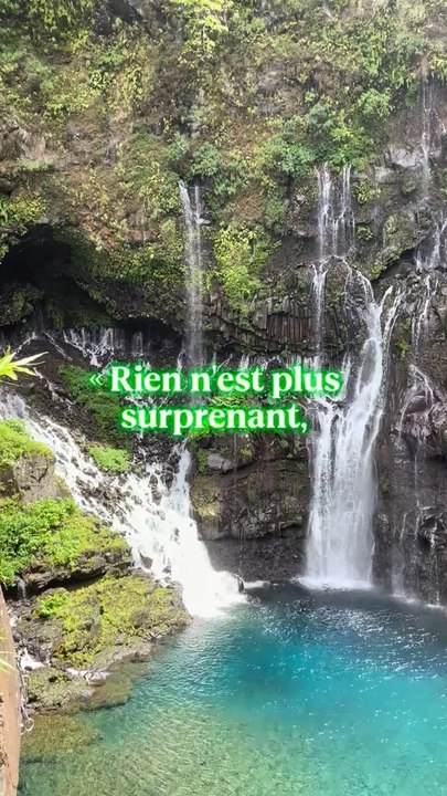 📚 Citation aperçue dans Hunger Games : lever de soleil sur la moisson