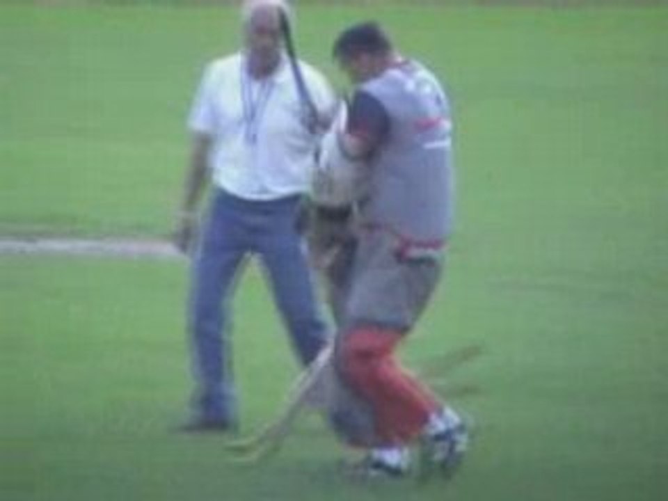 FMBB-2008-Hrnecek/Buddy