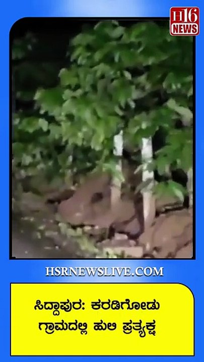ಸಿದ್ದಾಪುರ- ಕರಡಿಗೋಡು ಗ್ರಾಮದಲ್ಲಿ ಹುಲಿ ಪ್ರತ್ಯಕ್ಷ | Tiger sighted in Siddapura-Karadigodu village