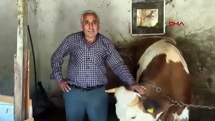 Son yılların en ilginç suç üstü vakası: Dolandırıcıların yakalanma anı olay oldu!