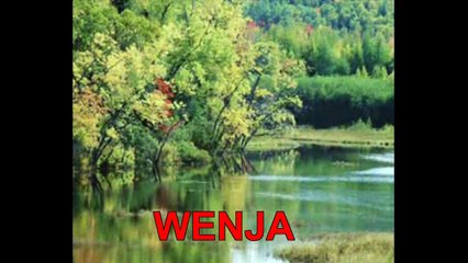 ´´ WENJA ´´  THE OTHER VERSION ( LEO BENNINK  JAZZ / SOUL / R&B / FUNK / ROCK / 2025