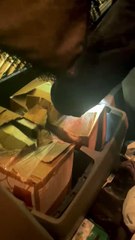 Caminhoneiro é flagrado transportando mais de 50 kg de drogas no oeste da Bahia