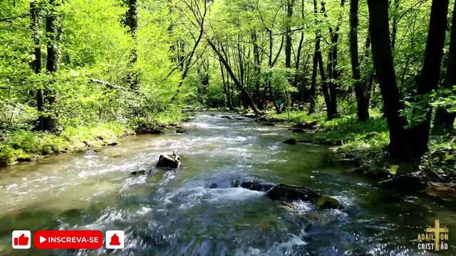 BASTA SUA PRESENÇA | Waldécia cantando AO VIVO em Momentos no Tabernáculo da Fé em Goiânia - GO