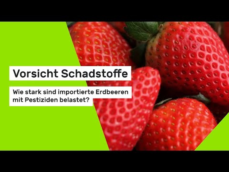 Vorsicht Schadstoffe: Wie stark sind importierte Erdbeeren mit Pestiziden belastet?