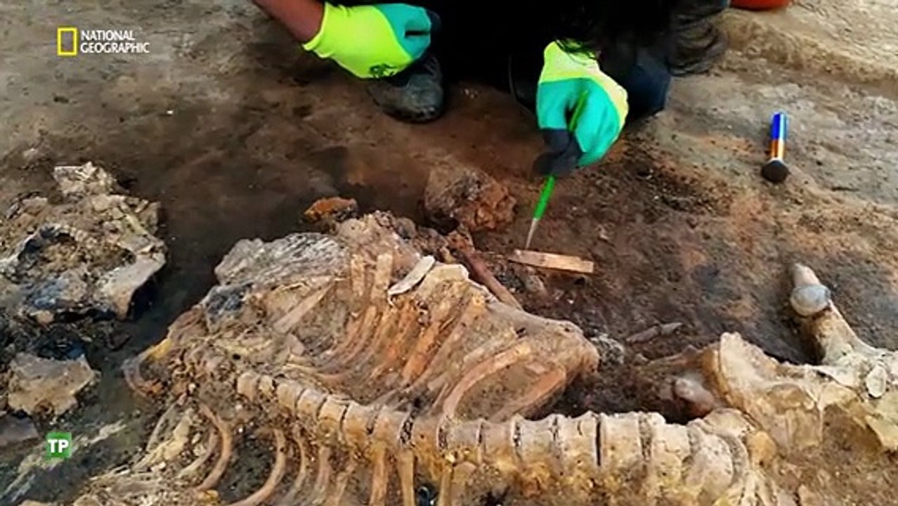 Los Tesoros Perdidos de la Biblia: Nínive, La Ciudad del Pecado