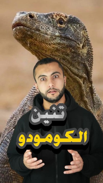 🦖 حيوان لسه بيصدر أصوات من عصر الديناصورات؟https://psce.pw/7r5xvf#النواة #تنين_الكومودو #Alnawa #dubai🇦🇪 #dubailife #Varanus_komodoensis #trending #travel #nature #wildlife