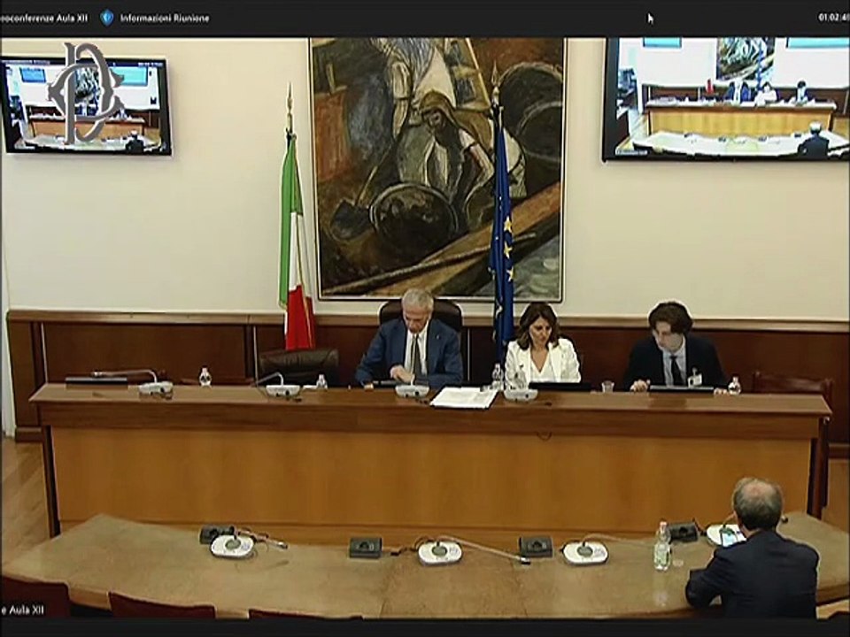 Roma - Prestazioni sanitarie-Audizioni-Federsanità, Ente nazionale previdenza assistenza medici e odontoiatri, Associazione psicologi italiani, Osservatorio malattie rare, Associazione Salute Donna (17.06.25)