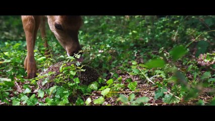 Il "vero" Bambi arriva al cinema, con la voce di Francesca Michielin