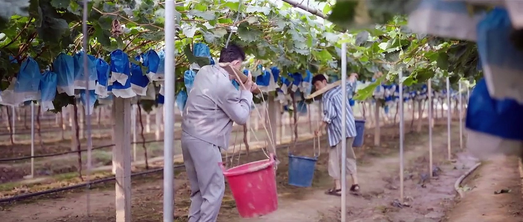 A Romance Of The Little Forest S01E25