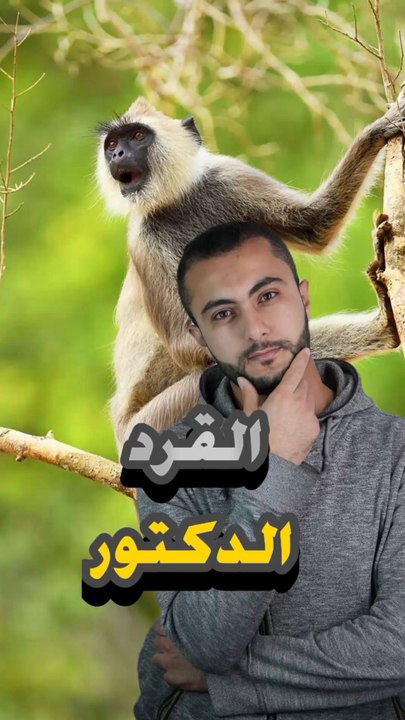 🦧 قرد بيستعمل أدوات الجراحة؟https://psce.pw/7r6edh#النواة #قرد#Alnawa #dubai🇦🇪 #dubailife #monkey #trending #travel #nature #wildlife