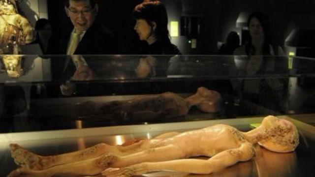 VERDADE ALIENÍGENA: UFOS CAPTADOS POR CÂMERAS: UMA FORÇA ALIENÍGENA