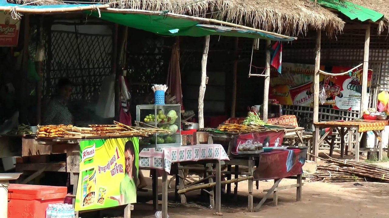 2010_11_cambodge