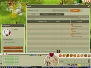 Sayen delete ami [Dofus]