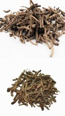 कुटकी जड़ी-बूटी के फायदे 💯