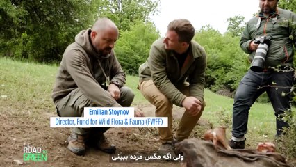 بازگشت باشکوه کرکس‌های بلغارستان پس از قرن‌ها آزار و نابودی