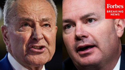 'Beneath The Dignity Of His Office': Chuck Schumer Demands Mike Lee Delete X Posts About Minnesota Suspect