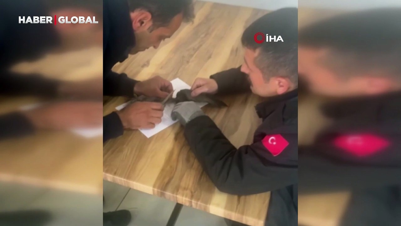 Ağlara takılan kuşu itfaiye kurtardı