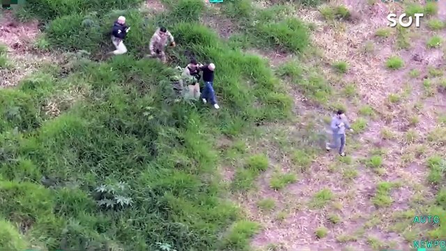 Câmeras de segurança e falcão registraram perseguição e colisão que terminou na apreensão de 215 kg de entorpecentes na BR-277 em Cascavel