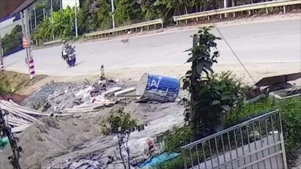 ¡Perro perseguía una moto! El can provocó un grave accidente en plena carretera (Video)