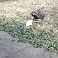 "Humans made AI to think for them" 😁😁😁