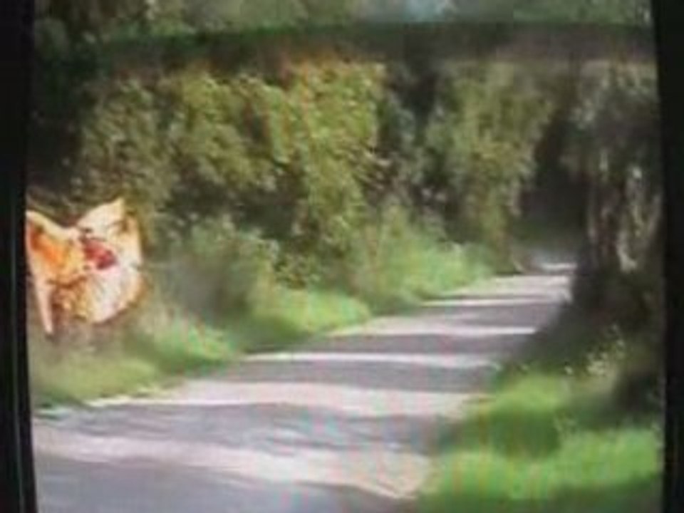 Rallye Finale 2006 (Corse)