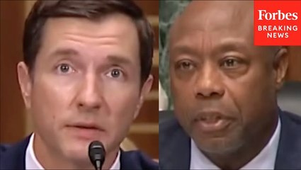 Tim Scott Asks Nominee How US Can 'Leverage' Export-Import Bank In Competition With China