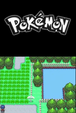 Pokémon Version Platine online multiplayer - nds