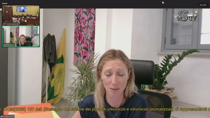 Roma - Sostegno nel settore dei prodotti vitivinicoli (17.06.25)