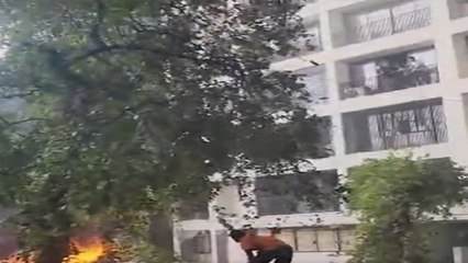 Ahmedabad: एआई 171 विमान गिरने पर हॉस्टल इमारत से नीचे उतरते दिखे छात्र, वीडियो वायरल