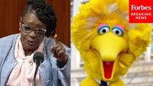'They're Coming For You Again, Big Bird!': Gwen Moore Decries GOP's Attacks On Public Broadcasting