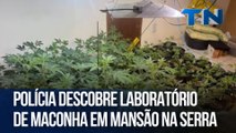 Polícia descobre laboratório de maconha em mansão na Serra