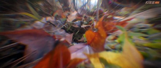 Bright Eyes Ep 9 Eng Sub