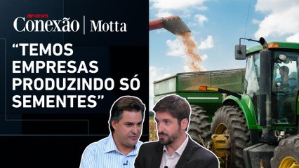 Como a indústria de sementes impulsiona o agronegócio no Brasil? | CONEXÃO MOTTA