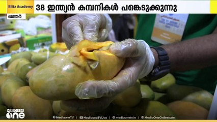 പശ്ചിമേഷ്യ യുദ്ധത്തിലേക്കോ? പ്രവാസലോകത്തെ പ്രധാന വാർത്തകൾ | Mideast Hour | 17/06/2025