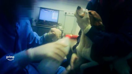 Infiltrated in the Bunker (2025) 🎬 | Official Trailer: Woman Exposes Dark Secrets in a Pharmaceutical Lab