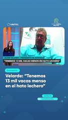 Velarde: “Tenemos 13 mil vacas menso en el hato lechero”