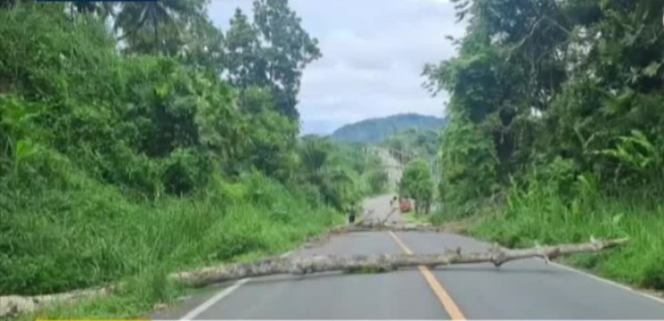 Delincuentes roban $8 mil dólares a custodios de valores en Changuinola