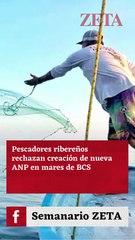 Pescadores y Comunidades Protestan Contra Nueva Área Natural Protegida en Media Península 🚫